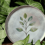 Prato de Sobremesa Bio Evergreen 21,5cm