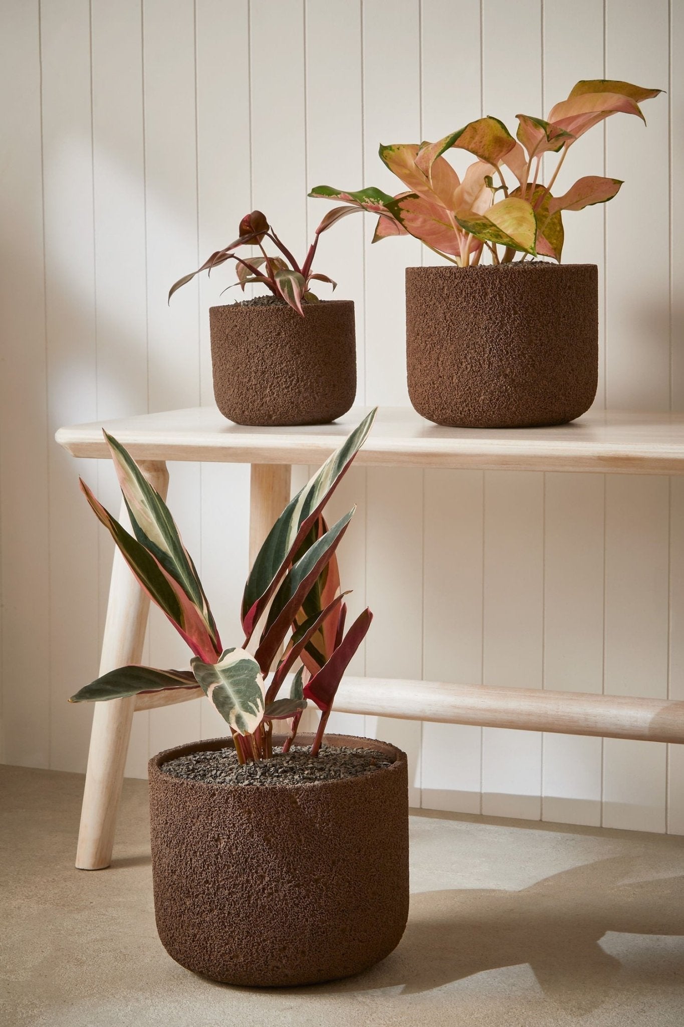 Vaso Cachepot de Cimento Marrom 18,5cm M Mart - Ela Decora