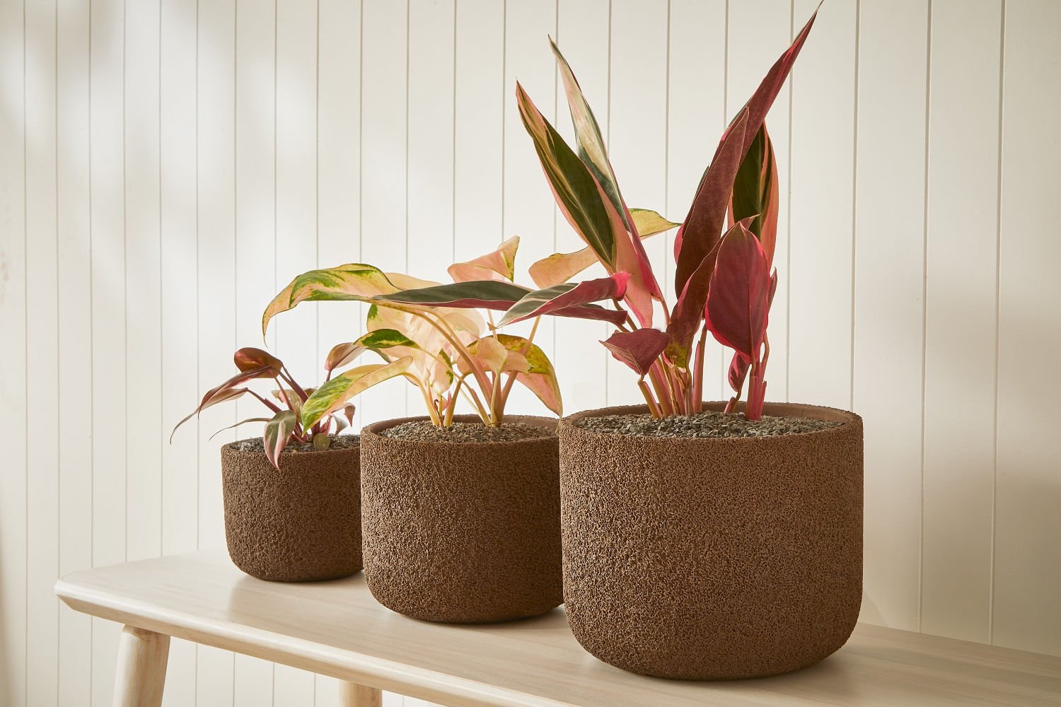 Vaso Cachepot de Cimento Marrom 22,5cm G Mart - Ela Decora