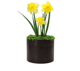 Vaso Cachepot em Cerâmica Preto 19cm x 16cm - Ela Decora