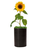 Vaso Cachepot em Cerâmica Preto 21cm x 14cm - Ela Decora