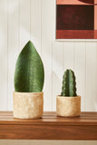 Vaso Cachepot em Cimento Estilo Trançado 14cm Mart - Ela Decora
