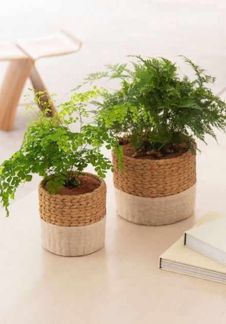 Vaso Cachepot Estilo Palha Cimento 17,5 cm - Ela Decora