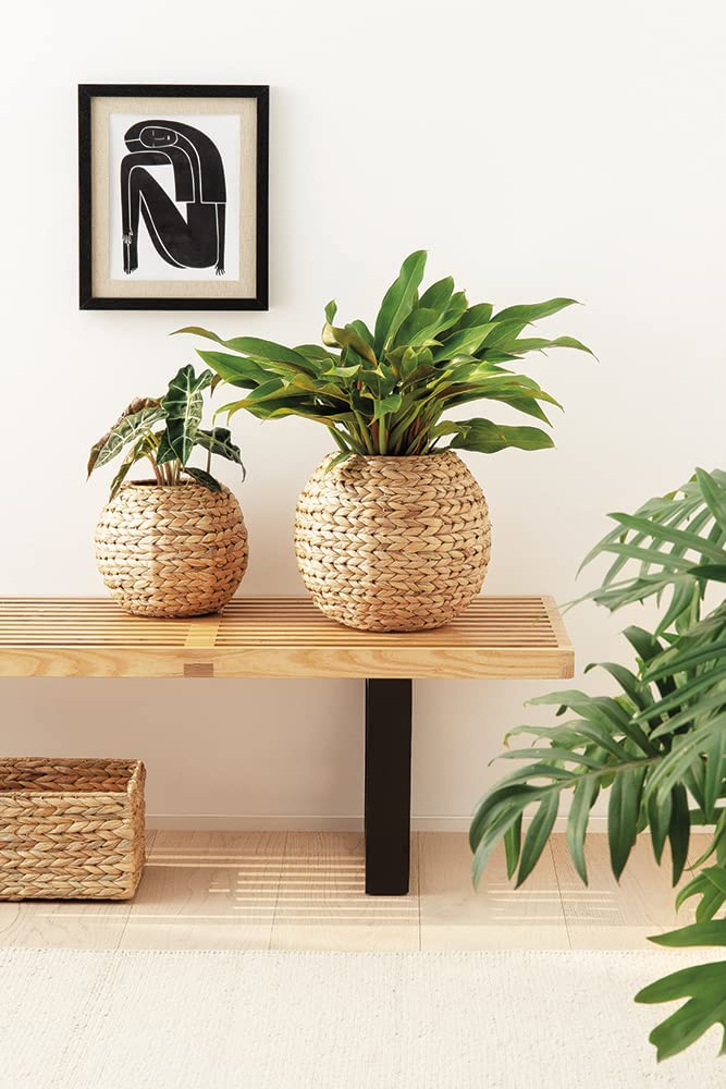 Vaso Cachepot Fibra Natural 21 cm - Ela Decora