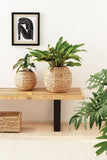 Vaso Cachepot Fibra Natural 21 cm - Ela Decora