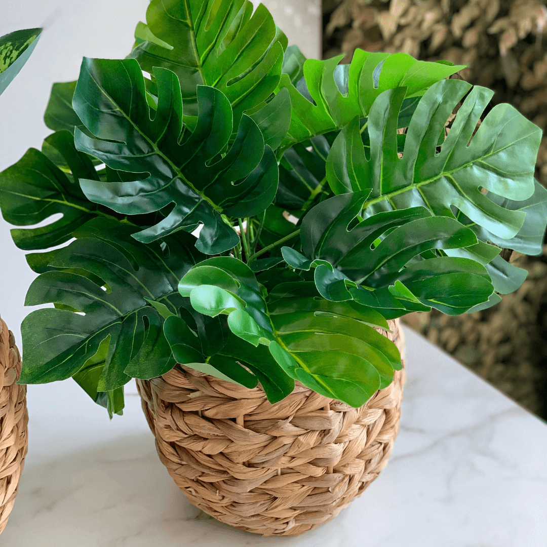Vaso Cachepot Fibra Natural 21 cm - Ela Decora