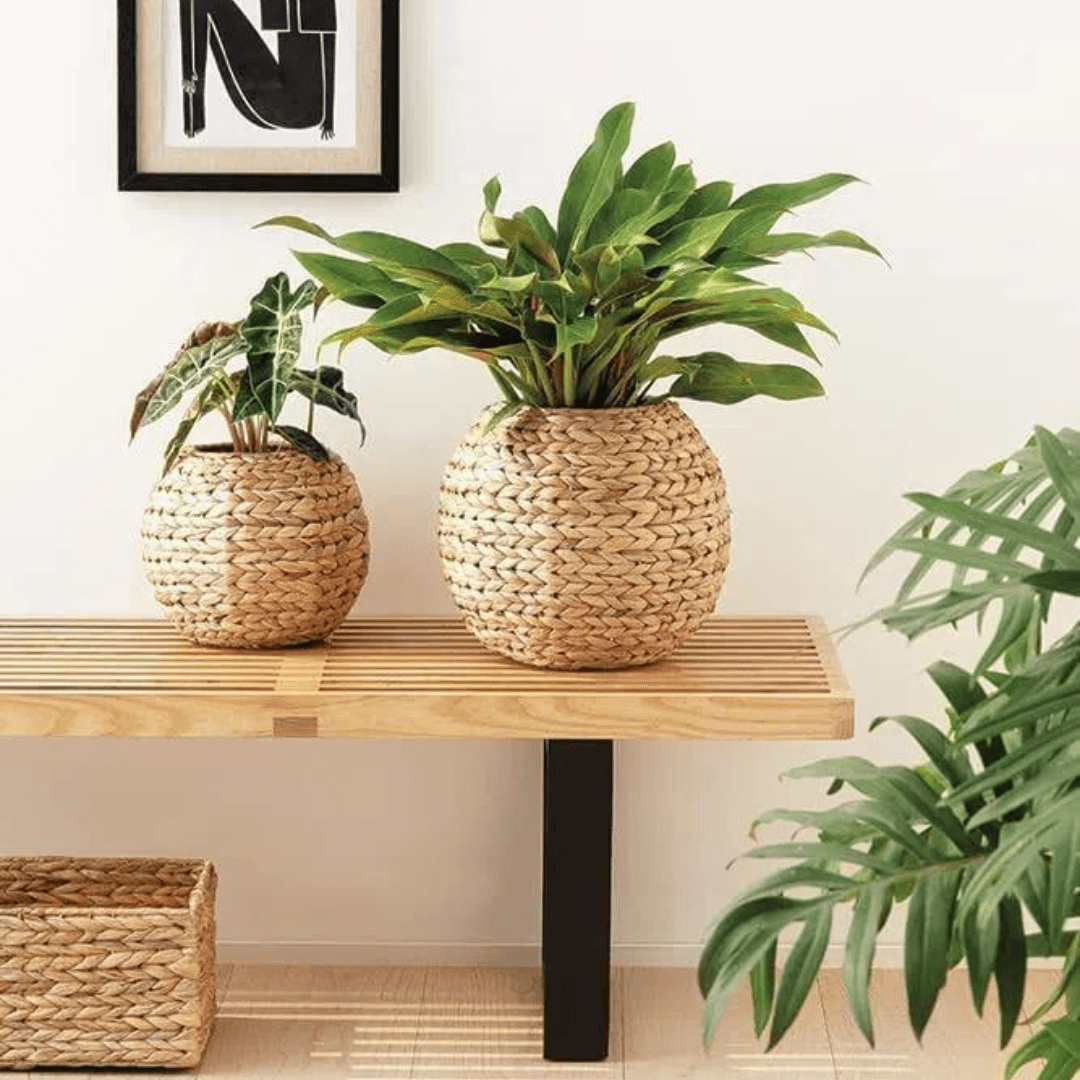 Vaso Cachepot Fibra Natural 26 cm - Ela Decora