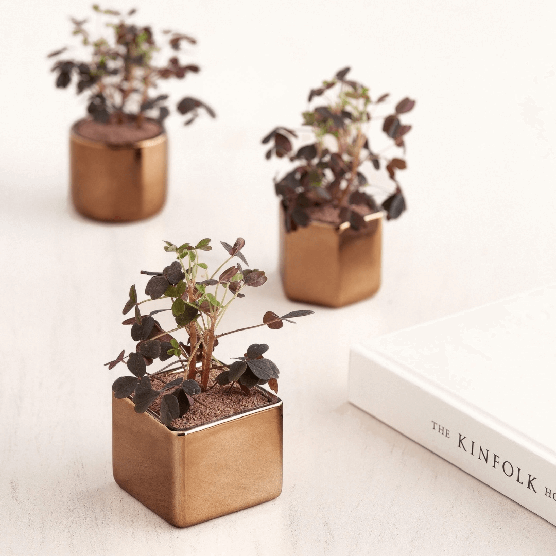 Vaso Cachepot Hexágono Porta - Velas Em Cerâmica Rose Gold - 6 x 7 cm - Ela Decora